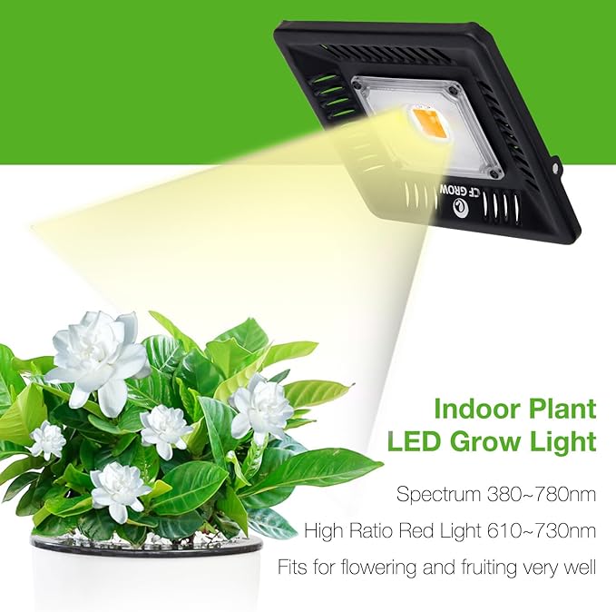 Waterproof 100W LED Grow Light Full Spectrum, CFGROW 3500K White COB LED Grow Light, Natural Heat Dissipation Without Noise, Suitable for Plants All Growing Stage Indoor or Outdoor. - Image 2