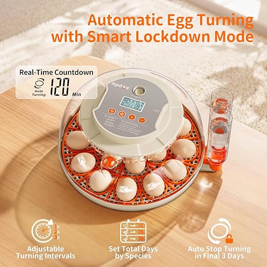 18 Egg Incubator, 2 Egg Trays, Automatic Egg Turning with Auto Stop, Humidity Control, Adjustable Incubation Day & Period, Auto Water Refill, for Chicken, Quail, Duck & Turkey Eggs, APDOE HatchPro 18 - Image 4