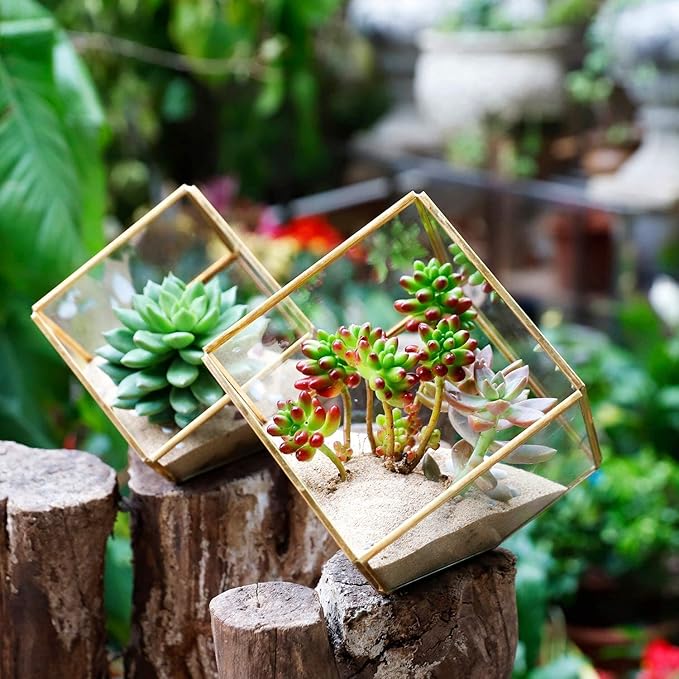 ELEGANTLIFE Glass Geometric Plant Terrarium,Succulent & Air Planter for Home Garden Office Decoration(Gold Cubic Set of 2) - Image 4