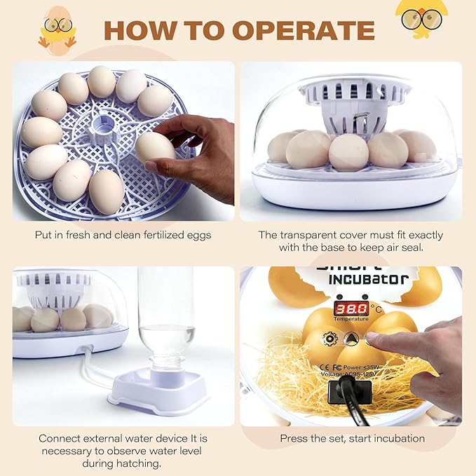 12 Egg Incubators for Hatching Eggs | with Auto Egg Turner, Temp & Humidity Control | 360° Viewing for Chicken, Duck, Quail Eggs | Ideal for Farm, School, Home - Image 7