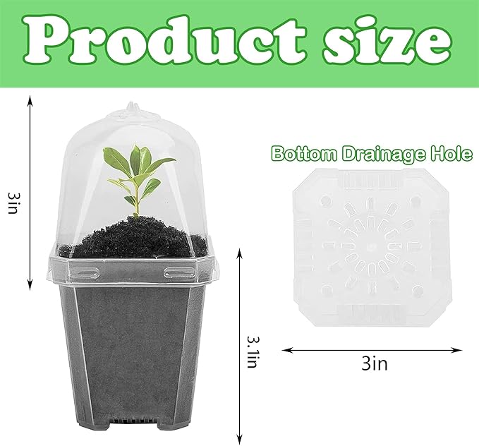 EBaokuup 30PCS Clear Plant Nursery Pots with Humidity Dome - 3" Durable Plastic Gardening Pot with Labels, Small Plant Container for Seedlings/Vegetables/Succulents/Cuttings - Image 2