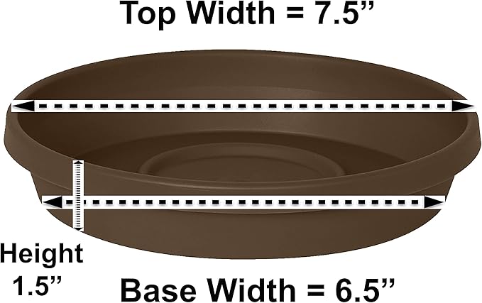 Bloem Terra Resin Saucer Tray: 6.5" Bottom Width - Chocolate Brown - Matte, Durable, Ribbed Bottom, Indoor and Outdoor, Fits 8" Terra Pots - Image 2