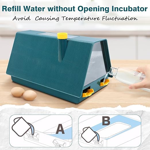 Incubator for Hatching Chicks, 10 Eggs Incubators with Automatic Egg Turning, Temperature and Humidity Control, Egg Candler, Hatching Incubator for Small Poultry, Chicken, Ducks (10 Eggs) - Image 5