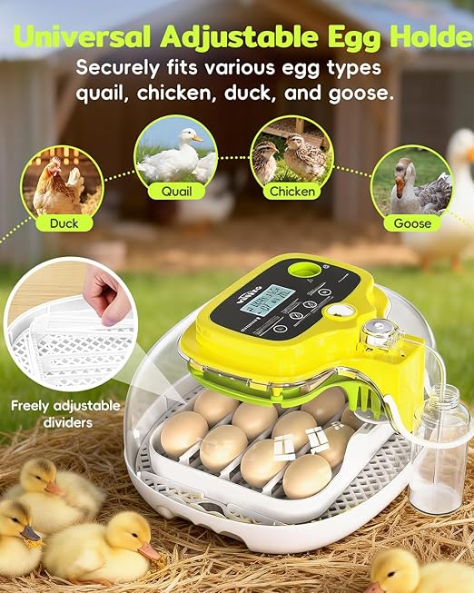 Incubators for Hatching Eggs, 2026 Upgraded 16 Eggs Incubator with Automatic Turner, Digital Temperature Control & Humidity Display and Led Candler, Poultry Hatcher for Chicken, Duck, Quail, Birds - Image 6
