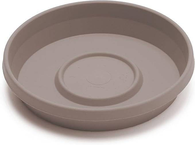 Bloem Terra Resin Saucer Tray: 8" Bottom Width - Pebble Stone Beige - Matte, Durable, Ribbed Bottom, Indoor and Outdoor, Fits 10" Terra Pots - Image 4