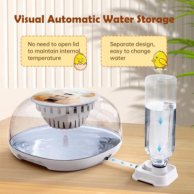 Egg Incubator for Hatching Chicks, Automatic Egg Turner Holds 12 Eggs, Smart Incubator 360° Clear Window with Temperature Display Egg Candler for Small Poultry Chickens Ducks Quails Eggs - Image 4