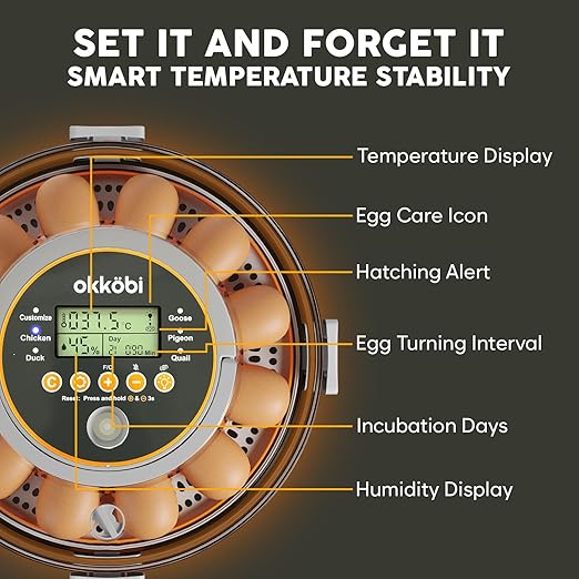12 Egg Incubator with Automatic Egg Turning and Humidity Control – Temperature Adjustment – incubators for Hatching Eggs – Built-in Egg Candler – Incubadora de Huevos de Gallina – Easy to Use - Image 4