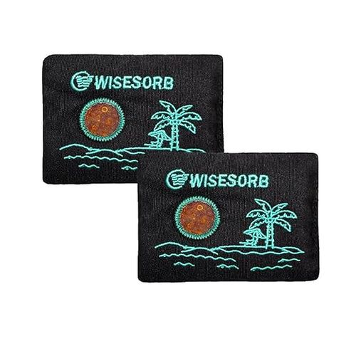 100g x 2pcs Reusable Desiccant Packs for Storage, Color Indicating Silica Gel Packets Moisture Absorbers with Visible Window, Rechargeable Dehumidifier Bags for Gun Safe Car Closet Basement by Wisesorb