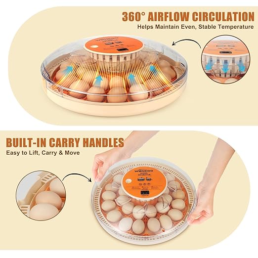 2nd Gen 30 Egg Incubator, Wide-Range Humidity with Manual Water Fill, Stable Temp Control, Dual-Size Egg Slots, Auto Egg Turning, Candler, Real-Time Display for Hatching Poultry Eggs - Image 5
