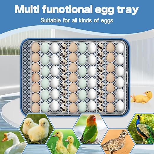 HOWOOlUA 70 Egg Incubator for Hatching Eggs withAuto Turn, Temp & Humidity Control, Built-in CandleLarge Capacity Egg Incubator for Chicken Duck Goose Eggs - Image 6