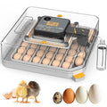 Incubators for Hatching Eggs, 48 Egg Incubator with Humidity & Temp Control and Auto Turner, Incubadora De Huevos De Gallina, Egg Candler, Smart Incubator for Chicken Eggs, Ducks, Goose, Quail by Unknown