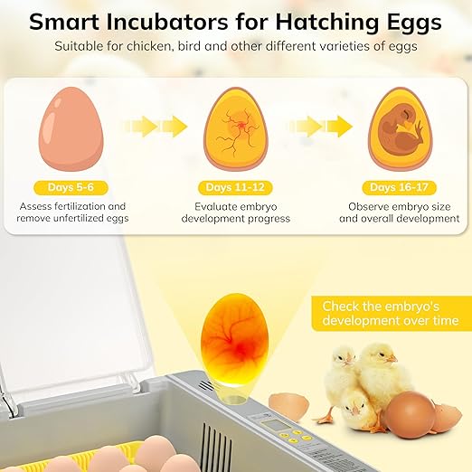 36-60 Egg Incubator with Automatic Egg Turning and Humidity Control, Chicken Egg Incubator with Digital Display, Adjustable Egg Incubators for Hatching Eggs Include Chicken Duck Quail Eggs - Image 3