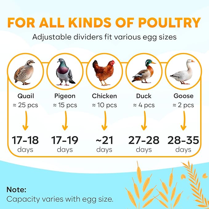 18 Egg Incubator with Automatic Egg Turning and Humidity Control – Egg Incubators for Hatching Eggs – Egg Candler, Water Bottle Refill, Air Vent, 360° View – Incubadora de Huevos de Gallina - Image 6