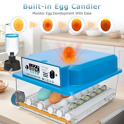 Automatic Egg Incubator 16 Egg Incubators for Hatching Eggs with Temperature Control Humidity Control and Display for Goose Chicken Duck Quail Pigeon Eggs Auto Turner, Blue - Image 5