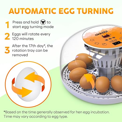 Okkobi M12 Egg Incubator with Automatic Turner and Humidity Control - 12/24 Eggs, 360° View, Easy to Use and Clean - Incubadora de Huevos de Gallina - Made for US - White & Orange - Image 5