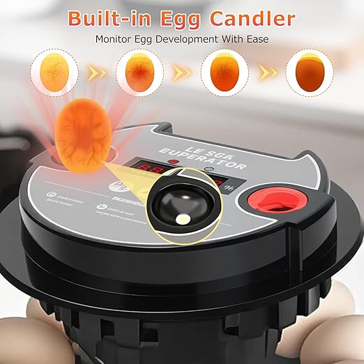 12 Egg Incubators for Hatching Eggs Automatic Egg Incubator with Temperature Control Humidity Control and Display for Chicken Duck Quail Eggs Auto Turner, Black red - Image 6
