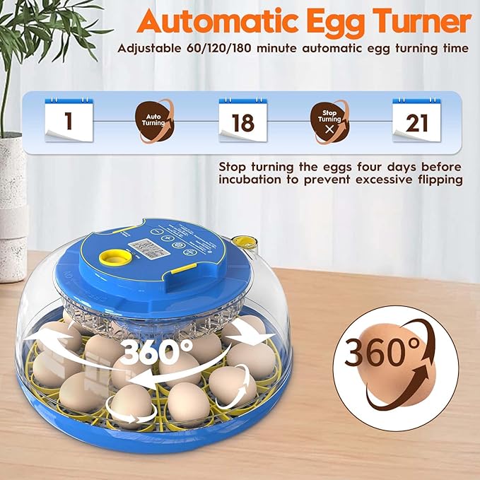 Incubator for Hatching Eggs-18 Egg Incubator with Automatic Egg Turning and Humidity Control 360°View Incubadora De Huevos,Ducks,Goose,Pigeon,Quail Incubator for Home,Farm,Lab,Science Classroom - Image 4