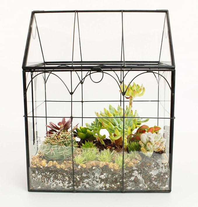 ELEGANTLIFE Glass Geometric Plant Terrarium,Succulent & Air Planter for Home Garden Office Decoration (Black House) - Image 8