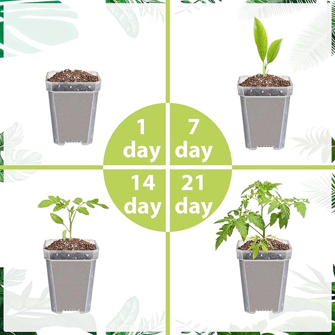 Hyuetrsa 30 Sets Plant Nursery Pots with Humidity Domes, 3" Plastic Gardening Pot with 30 Pcs Labels, Clear Seed Starting Pot Planter Containers with Drain Holes for Seedlings Vegetables Succulents - Image 5