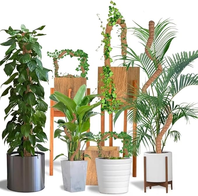 Moss Pole Monstera Plant Support – 2 Pack 28” Bendable Moss Pole Monstera Plant Support, Plant Stakes for Indoor Plants, Tall Plant Sticks Support for Climbing Plants - Image 8