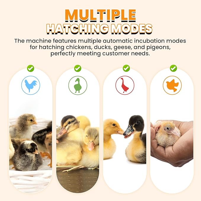 Incubators for Hatching Eggs, 24 Egg Incubator, Automatic Turning with Temperature & Humidity Control, Temp Display, for Chicken Duck Quail Goose Pigeon - Image 6