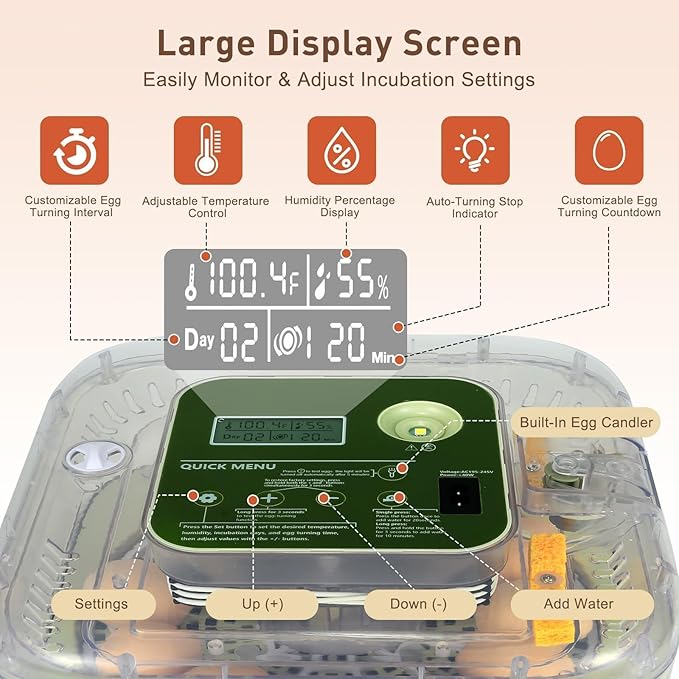 2026 New Auto 12-Egg Incubator for Beginners, Automated Incubation, Sensor-Based Precise Humidity & Temp Control, Custom-Interval Auto Turn & Auto Stop, Preset Incubation Days, Candler - Image 2