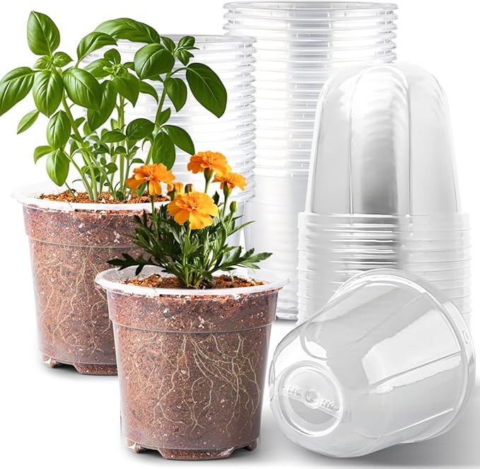 6 Inch Clear Nursery Pots with Humidity Dome, 30 Pack Reusable Seed Starter Pot with Drainage Holes, Transparent Plastic Plant Seedling Pots for Propagation Indoor Plants Outdoor Gardening by RooTrimmer