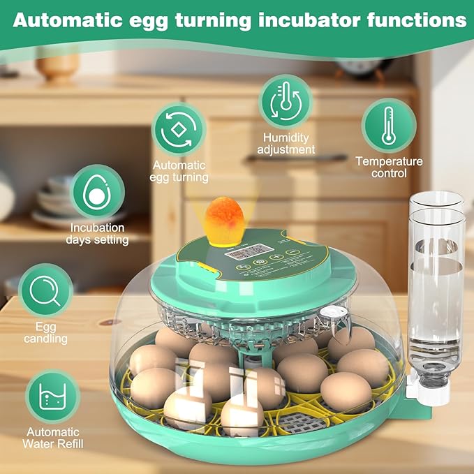 18 Egg Incubator with Automatic Egg Turning and Humidity Control,Chicken Egg Incubator, Large View Incubator for Chicken Duck Quail Eggs, External Water Refill, Egg Candler - Image 3