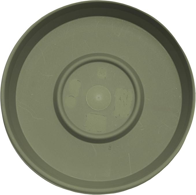 Bloem Terra Resin Saucer Tray: 8" Bottom Width - Matte, Durable, Ribbed Bottom, Indoor and Outdoor, Fits 10" Terra Pots, Living Green - Image 5
