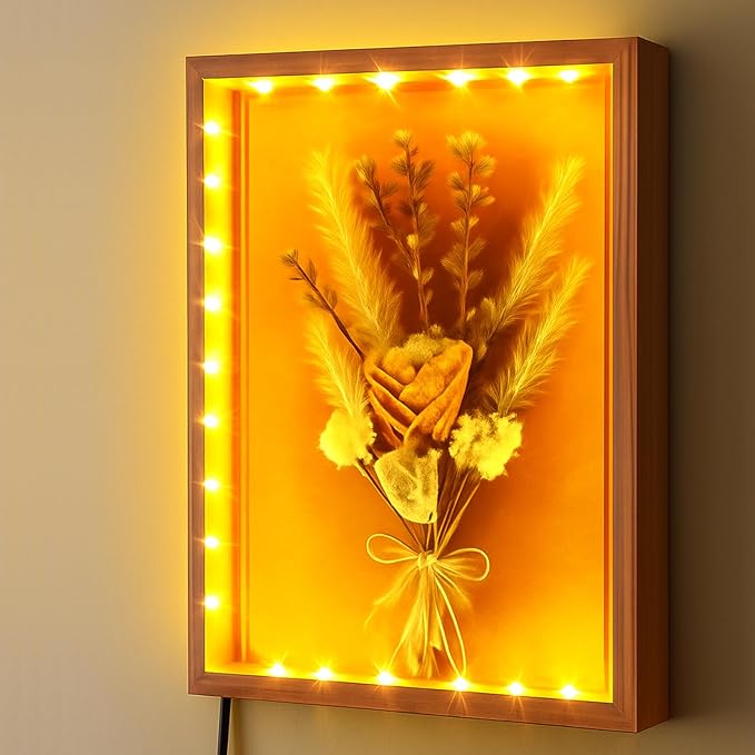 Shadow Box with LED Light for Dried Flowers, Changeable Picture Display & Storage, Frame Wall-mounted & Tabletop Art Display Shadow Box Frame (Light Red) by LuxRound