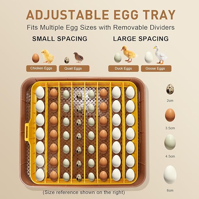 Automatic 56-Egg Incubator for Breeders, Sensor-Based Precise Humidity+Temp Control, Chick Separator, Adjustable Egg Spacing, Custom-Interval Auto Turn+Auto Stop,Preset Incubation Days - Image 6