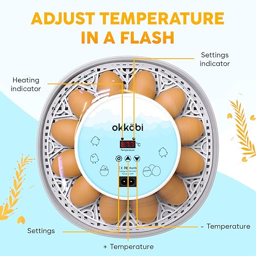 M12 Incubators for Hatching Eggs - Egg Incubator with Automatic Turner and Humidity Control - 12/24 Eggs - Incubadora de Huevos de Gallina - Easy to Use and Clean - 360° View - Blue - Image 2