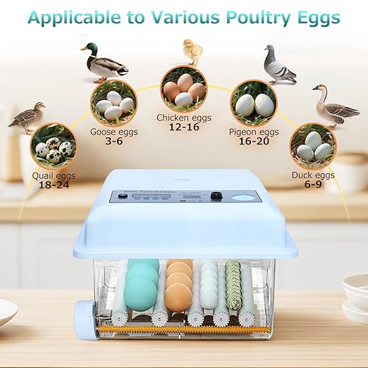 Incubators for Hatching Eggs 16 Egg Automatic Egg Incubator with Temperature Control Humidity Control and Display for Goose Chicken Duck Quail Pigeon Eggs Auto Turner,Light Blue - Image 2