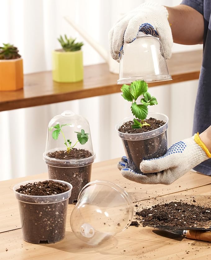 homenote Clear Nursery Pots for Plants,4 Inch Plant Pot for Planting with Humidity Domes Plastic Seedling with Drainage Holes Seed Starter Flower High Transparency (30 Pack) - Image 3