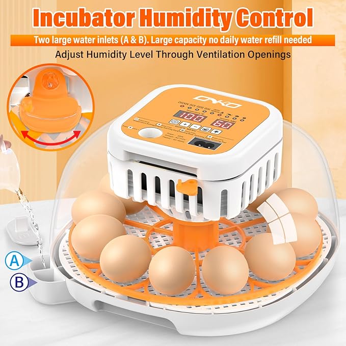 ONKO 12 Egg Incubator with Auto Temp & Humidity Control for Home, Farm, Classroom, Auto Egg Turner & Stop, External Water Refill, Air Vent, 360° Clear View, Hatching Chicken, Duck, Goose, Pigeon Eggs - Image 3