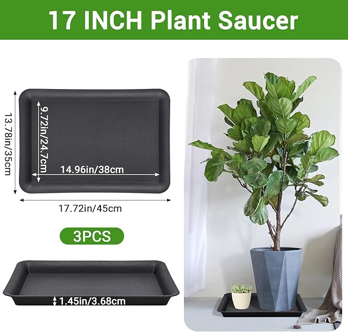 GREANER 17 Inch Plastic Plant Saucer, Black Trays for Plants, Flower Pot No Holes Plant Drip Trays, Heavy Duty Plastic Plant Saucers for Indoors Outdoors - Image 2