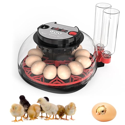 Incubators for Hatching Eggs, 12 Egg Incubator with Automatic Egg Turning and Humidity Control, 360° View Incubadora De Huevos De Gallina, Egg Candler, Incubator for Chicken Eggs, Ducks, Goose, Quail by Unknown