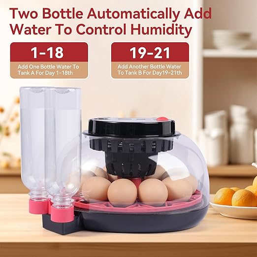 12 Egg Incubators for Hatching Eggs, Chicken Egg Incubator with Automatic Egg Turning and Temperature Humidity Control, 360° Clear View Lid or Home, Farm, Classroom, Hatching Chicken, Duck,Quail,Goose - Image 4