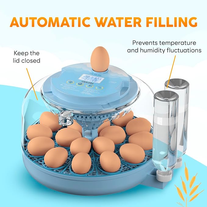18 Egg Incubator with Automatic Egg Turning and Humidity Control – Egg Incubators for Hatching Eggs – Egg Candler, Water Bottle Refill, Air Vent, 360° View – Incubadora de Huevos de Gallina - Image 3