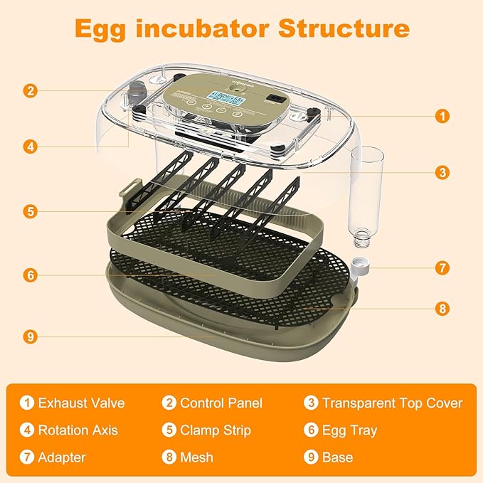 24 Egg Incubators for Hatching,Automatic Egg Turning and Temperature Control Humidity Display,Hatch Day,Automatic Water Refill,360° Viewing for Chicken Quail Duck - Image 8
