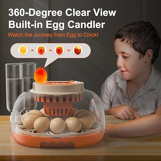 12 Egg Incubator, Automatic Turning with Temperature & Humidity Control, Egg Candler, 360 View with Air Vent, Auto Water Bottle Refill, Chicken Incubator for Hatching Eggs - Image 7