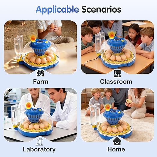 Chicken Egg Incubators for Hatching Eggs, 12 Egg Incubator with Automatic Egg Turning and Humidity Control – Chicken Incubators for Hatching Eggs with 360° View/Candler/Water Bottle Refill/Air Vent - Image 7