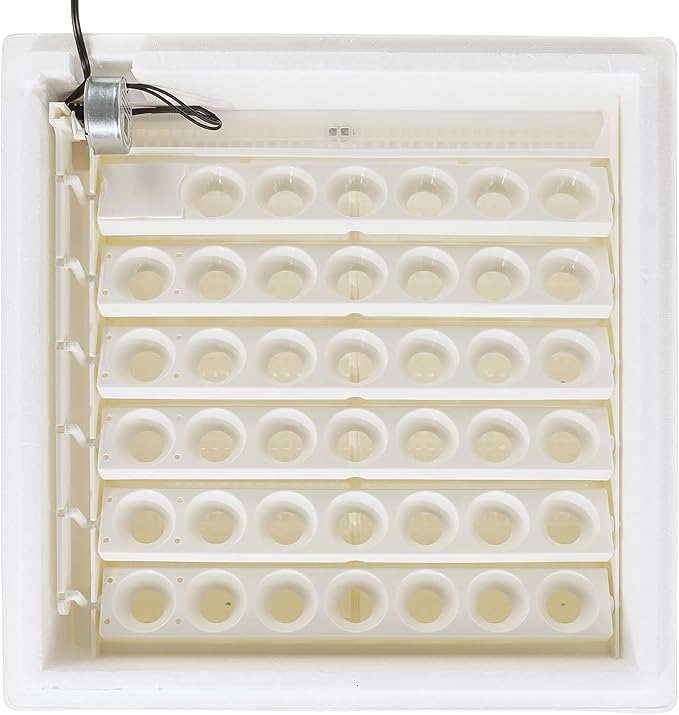 Farm Innovators 4250 Heated Digital Circulated Air Incubator (encubadora para huevos) w/Automatic Egg Turner for Improved Egg Hatching, White (2 Pack) - Image 5