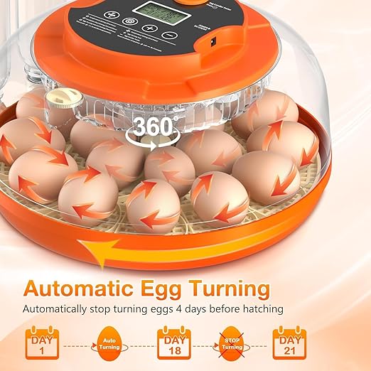18 Egg Incubator with Automatic Egg Turning and Humidity Control, Eggs Incubators for Hatching Eggs Chicken Quail Ducks Goose Parrot for Home Classroom Lab Farm - Image 3