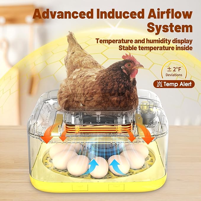 Incubator for Hatching Eggs, 12 Eggs Incubator with Automatic Egg Turning, Temperature & Humidity Control, LED Egg Candler, Incubation Days Display, for Chicken, Duck, Quail, Parrot Bird Eggs - Image 7