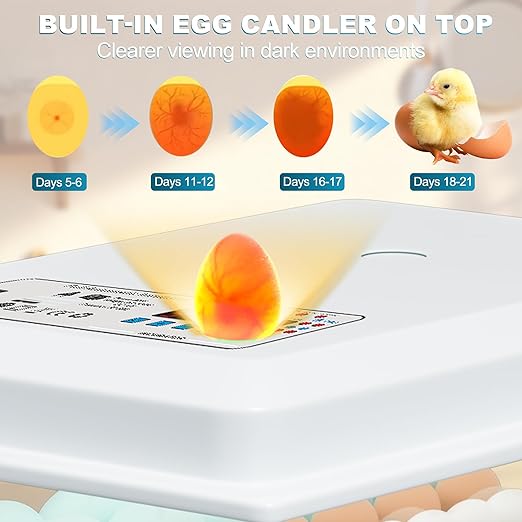 Incubators for Hatching Eggs, 36 Egg Incubator with Automatic Egg Turning and Humidity Control, Chicken, Duck, Goose, Bird, Quail, Incubator for Farm, Lab, Home（White） - Image 4