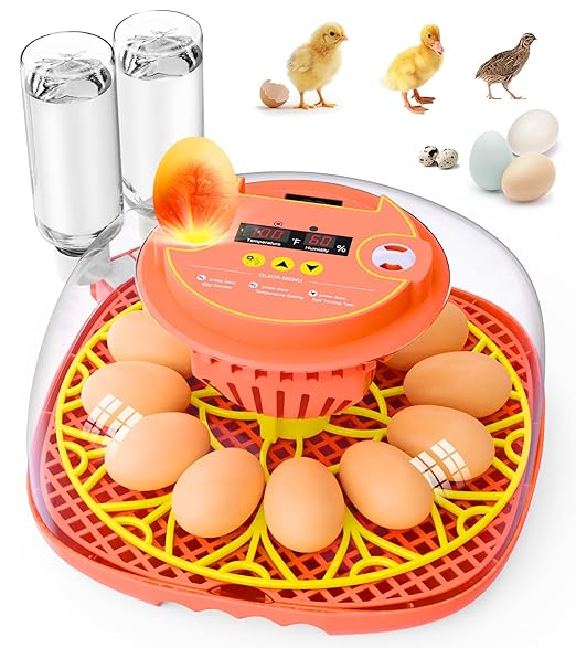 12 Egg Incubator for Hatching Eggs, Smart Temperature and Humidity Control, Automatic Egg Turning, Incubator for Hatching Chicken, Quail, Duck Eggs, 360° Clear View for Home, Classroom, Farm by Brnvl