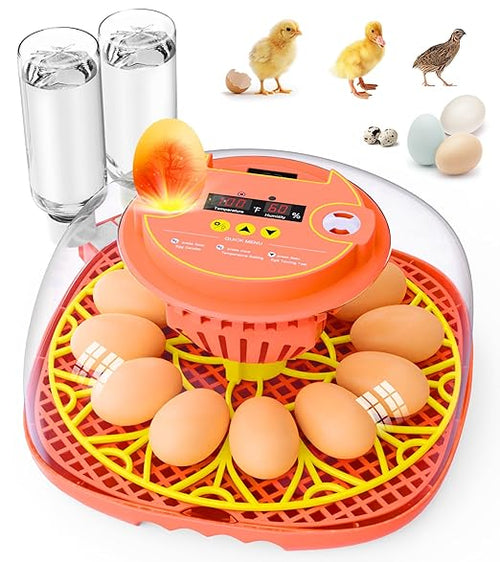 12 Egg Incubator for Hatching Eggs, Smart Temperature and Humidity Control, Automatic Egg Turning, Incubator for Hatching Chicken, Quail, Duck Eggs, 360° Clear View for Home, Classroom, Farm by Brnvl