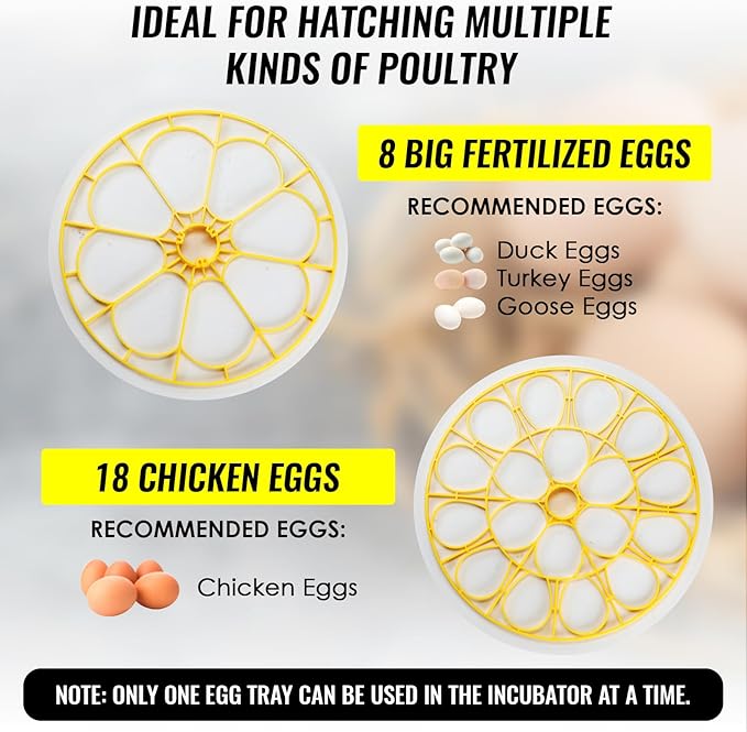 Incubators for Hatching Eggs, 18 Egg Incubator with Automatic Egg Turning and Humidity Control, Detachable Egg Incubator for Hatching Eggs, Chicken, Pigeon, Ducks, Quail, Goose, Parrot Incubator Farm - Image 5