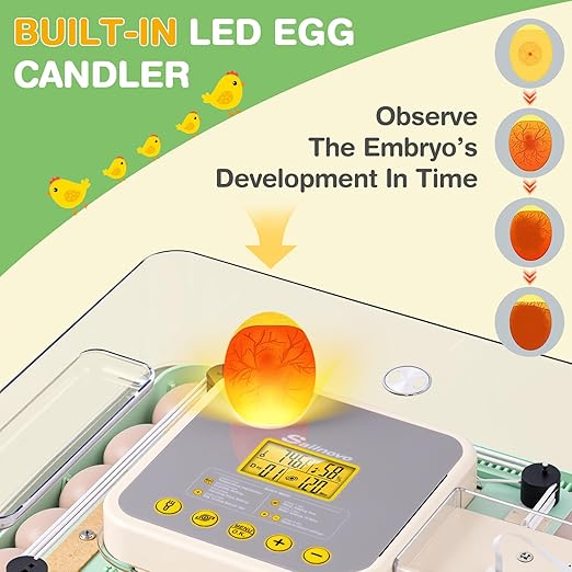 Sailnovo 48 Egg Incubator for Hatching Eggs with Precise Temp & Humidity Control,Auto Egg Turning, 360°Viewing, Egg Candler,Incubator for Chicken Eggs/Duck/Quail/Turkey,Ideal for Farm/School/Lab,Green - Image 6